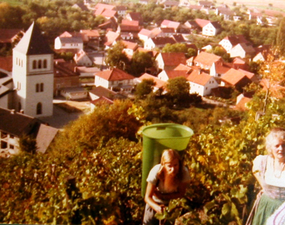 Unser erster Weinberg oberhalb von Zell