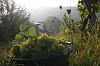 Bild des Weinbergs
