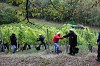 Bild des Weinbergs