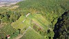 Bild des Weinbergs